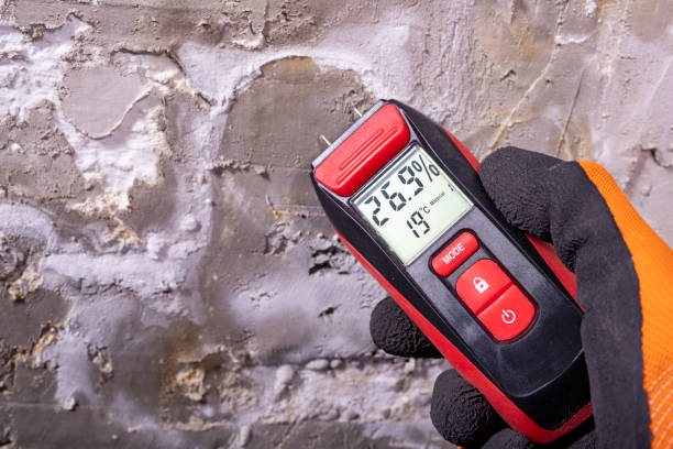 Best Mold Removal Near Me  in Ettrick, VA