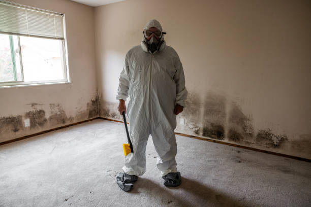 Best Commercial Mold Removal  in Ettrick, VA